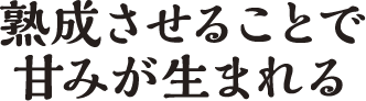 熟成させることで甘みが生まれる