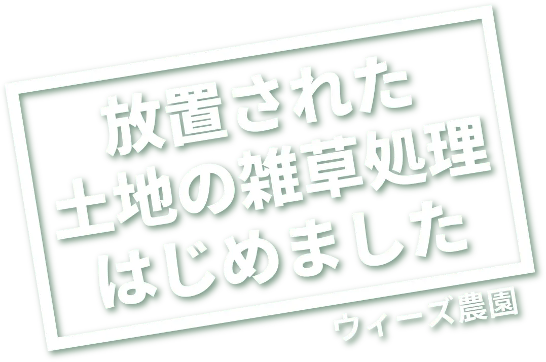 放置された土地の雑草処理はじめました